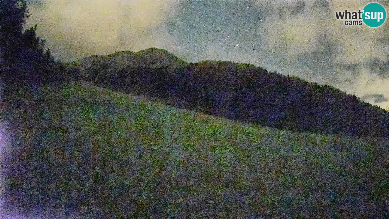 Comprensorio sciistico Kranjska Gora | Brsnina