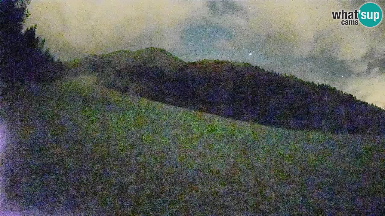 Esquí Kranjska Gora | Brsnina