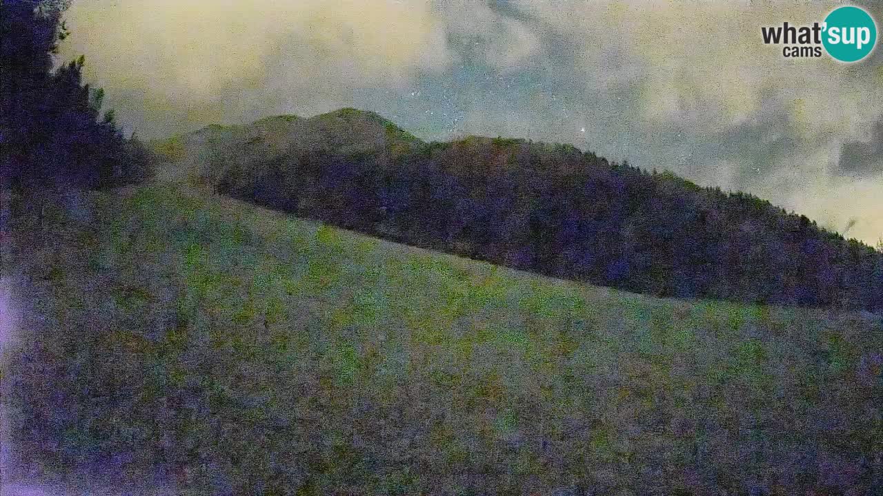 Ski Kranjska Gora | Brsnina