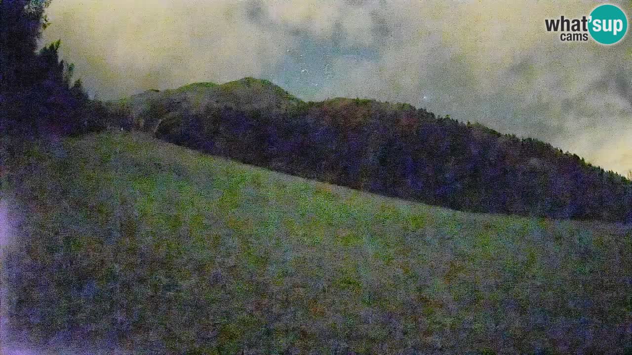 Ski Kranjska Gora | Brsnina