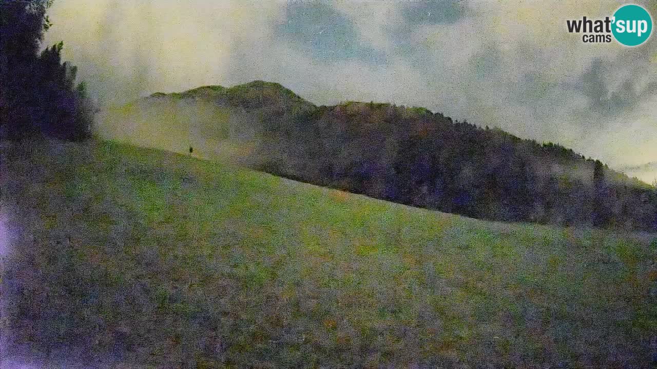Esquí Kranjska Gora | Brsnina