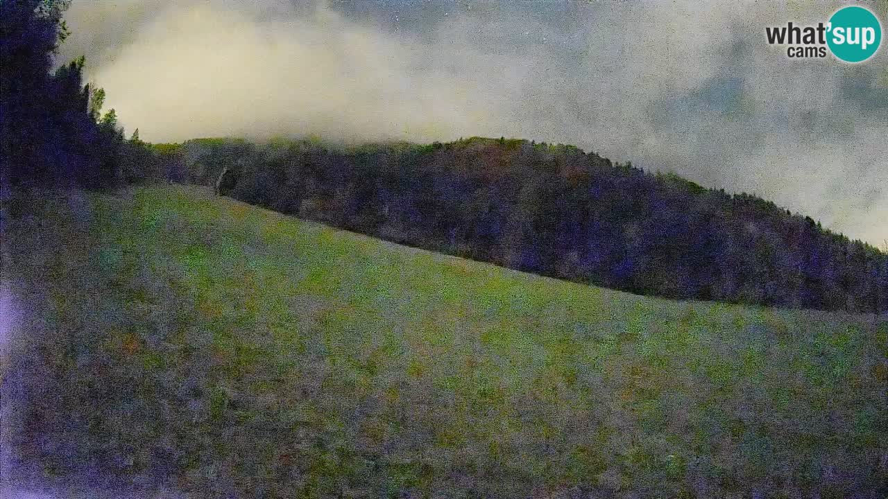 Ski Kranjska Gora | Brsnina