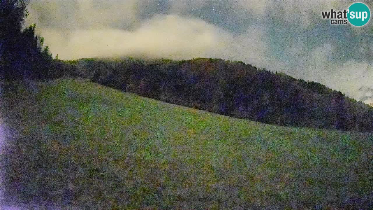 Ski Kranjska Gora | Brsnina