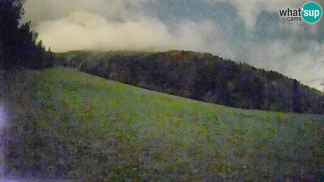 RTC Kranjska Gora | Brsnina