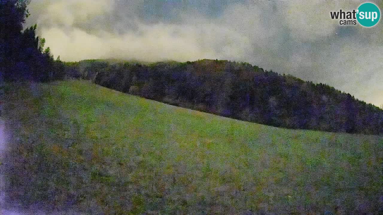 RTC Skigebiet Kranjska Gora | Brsnina