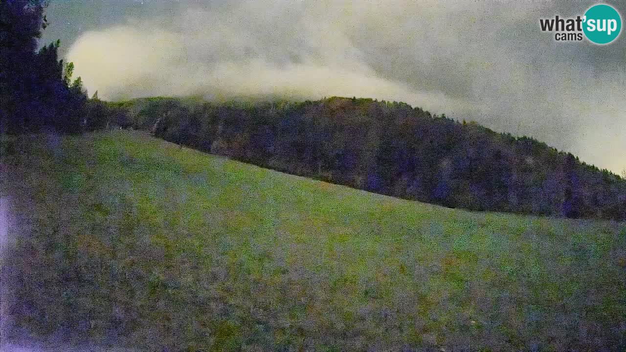 Esquí Kranjska Gora | Brsnina