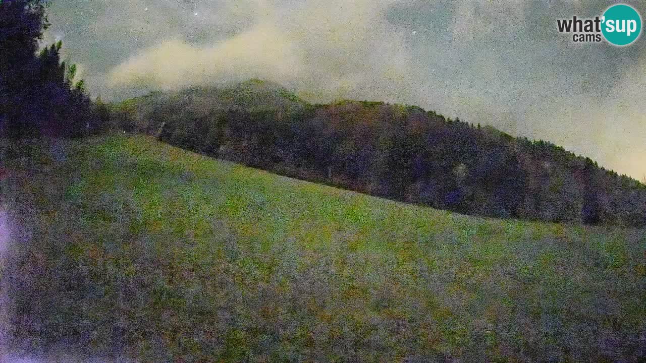 Kranjska Gora Station de ski | Brsnina