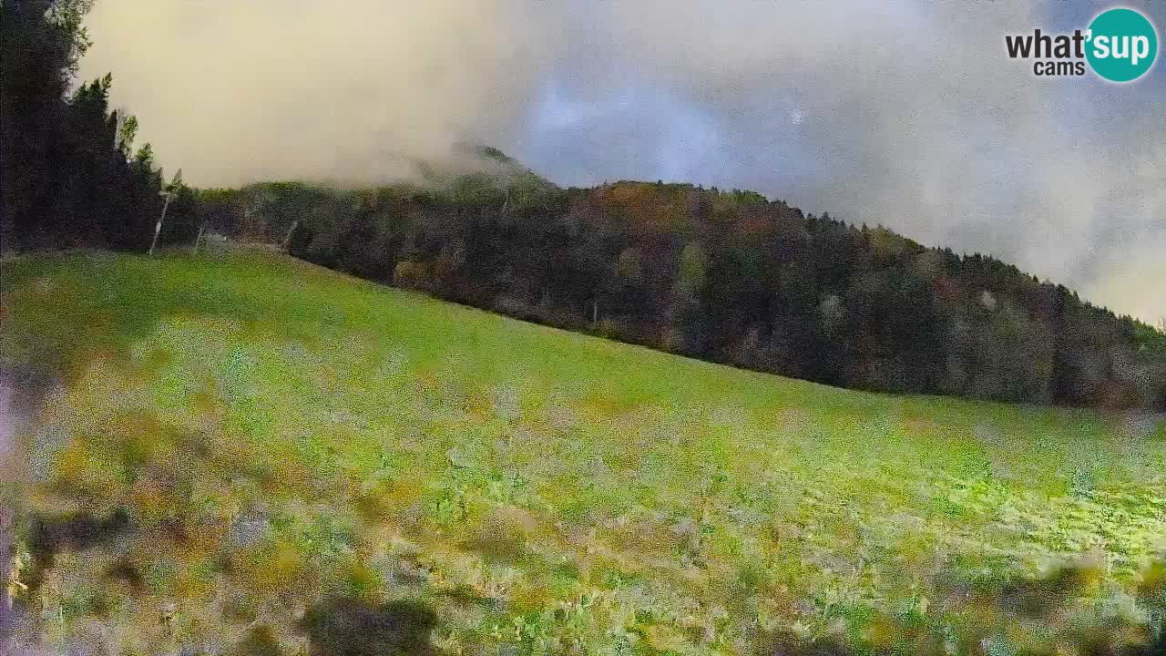 Ski Kranjska Gora | Brsnina