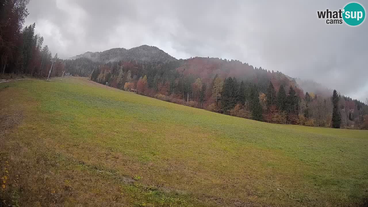 Ski Kranjska Gora | Brsnina