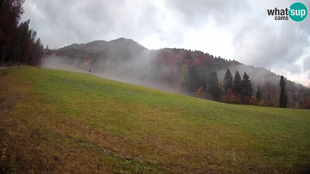 Esquí Kranjska Gora | Brsnina