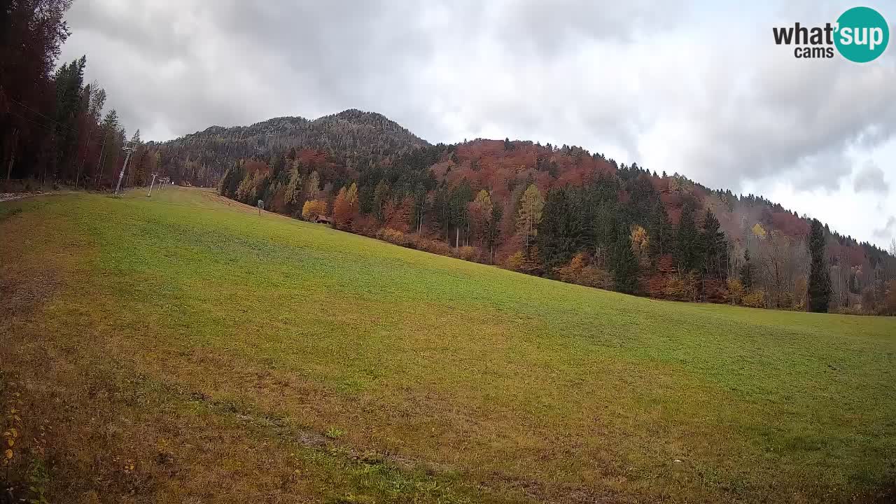 Kranjska Gora Station de ski | Brsnina