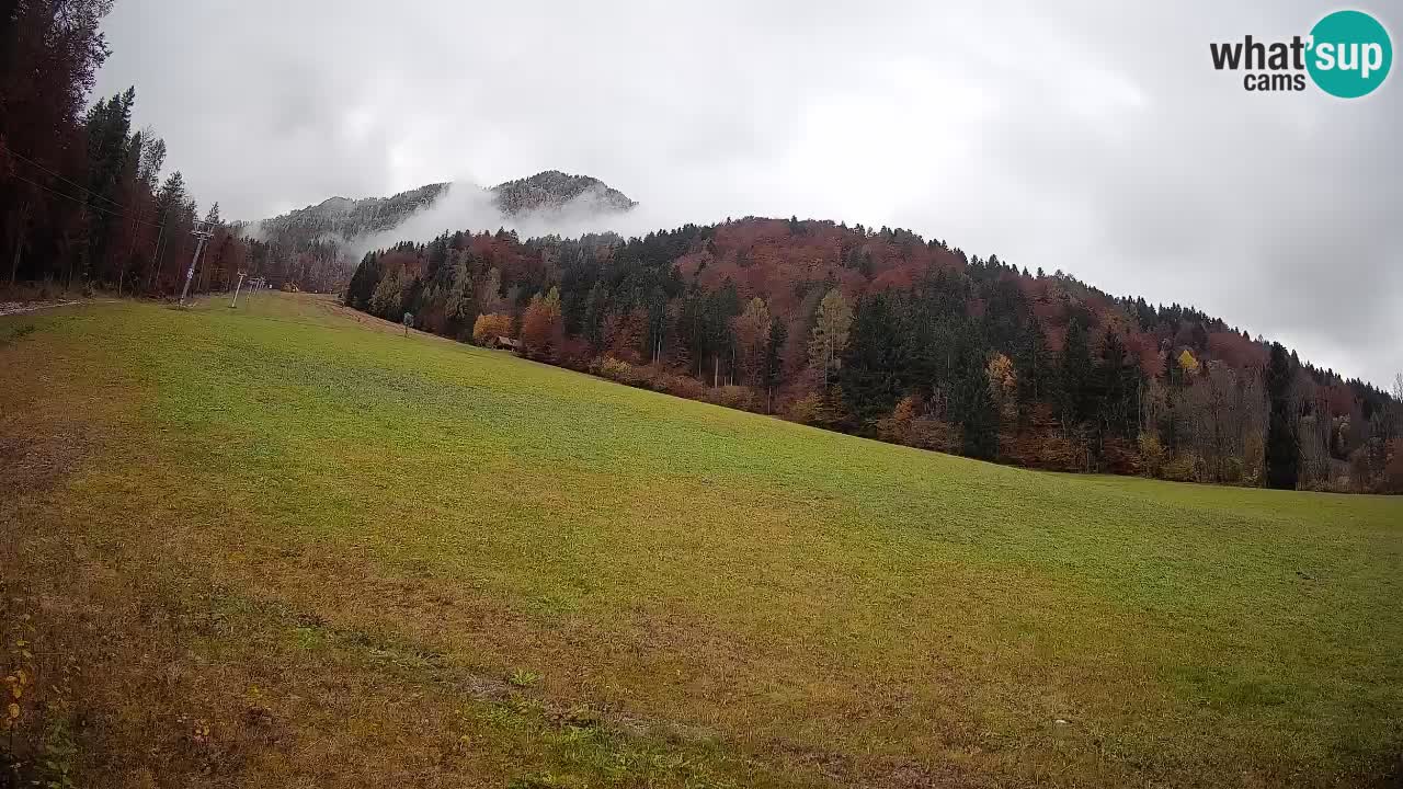 Kranjska Gora Station de ski | Brsnina