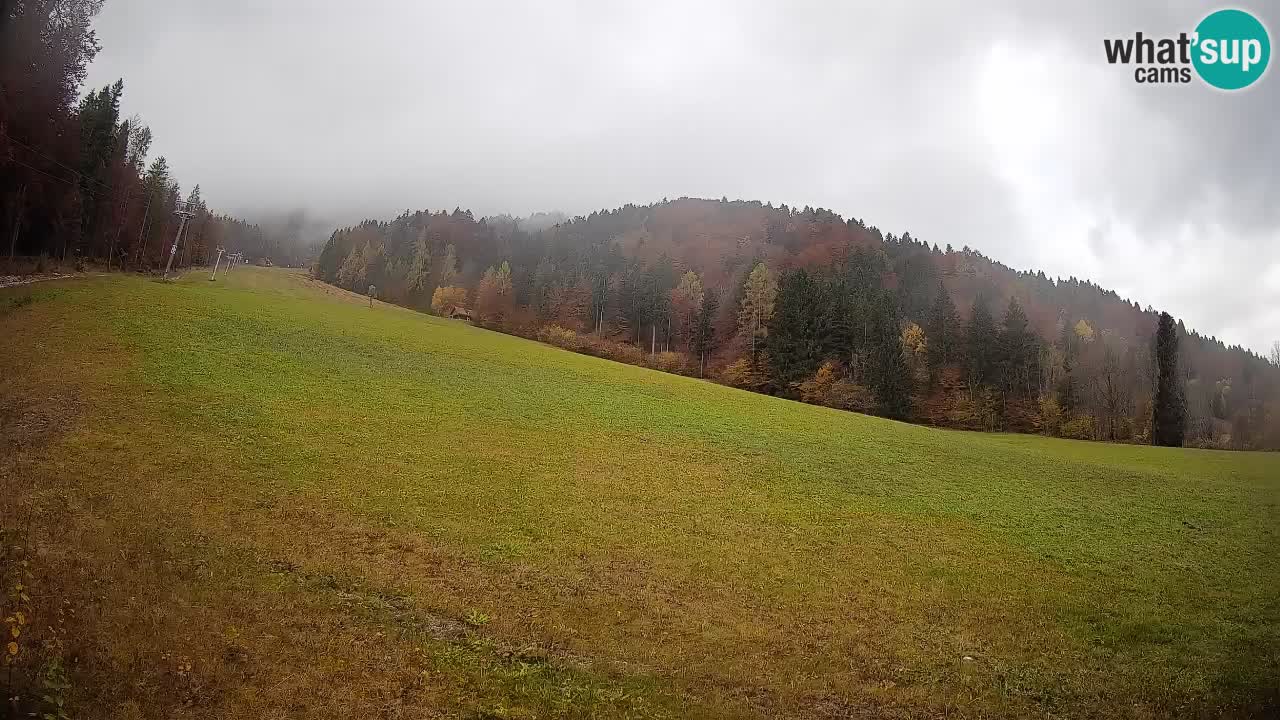 Comprensorio sciistico Kranjska Gora | Brsnina