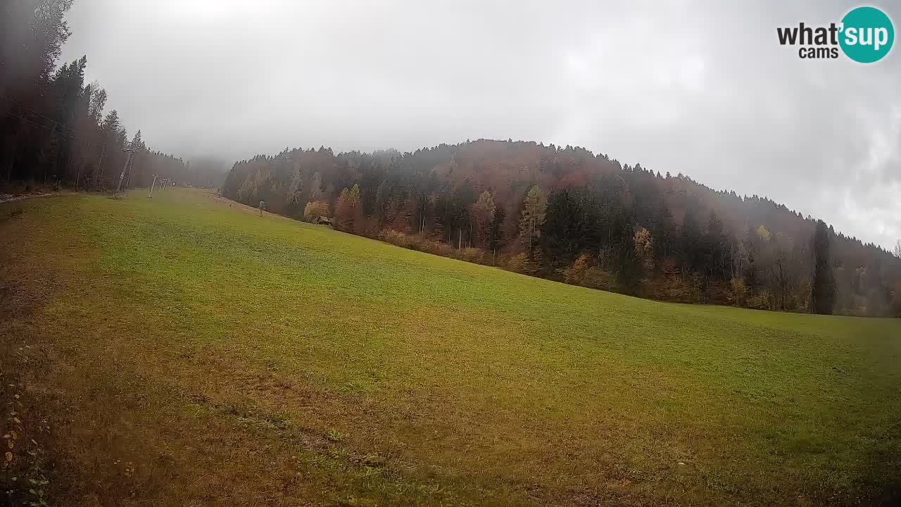 Esquí Kranjska Gora | Brsnina