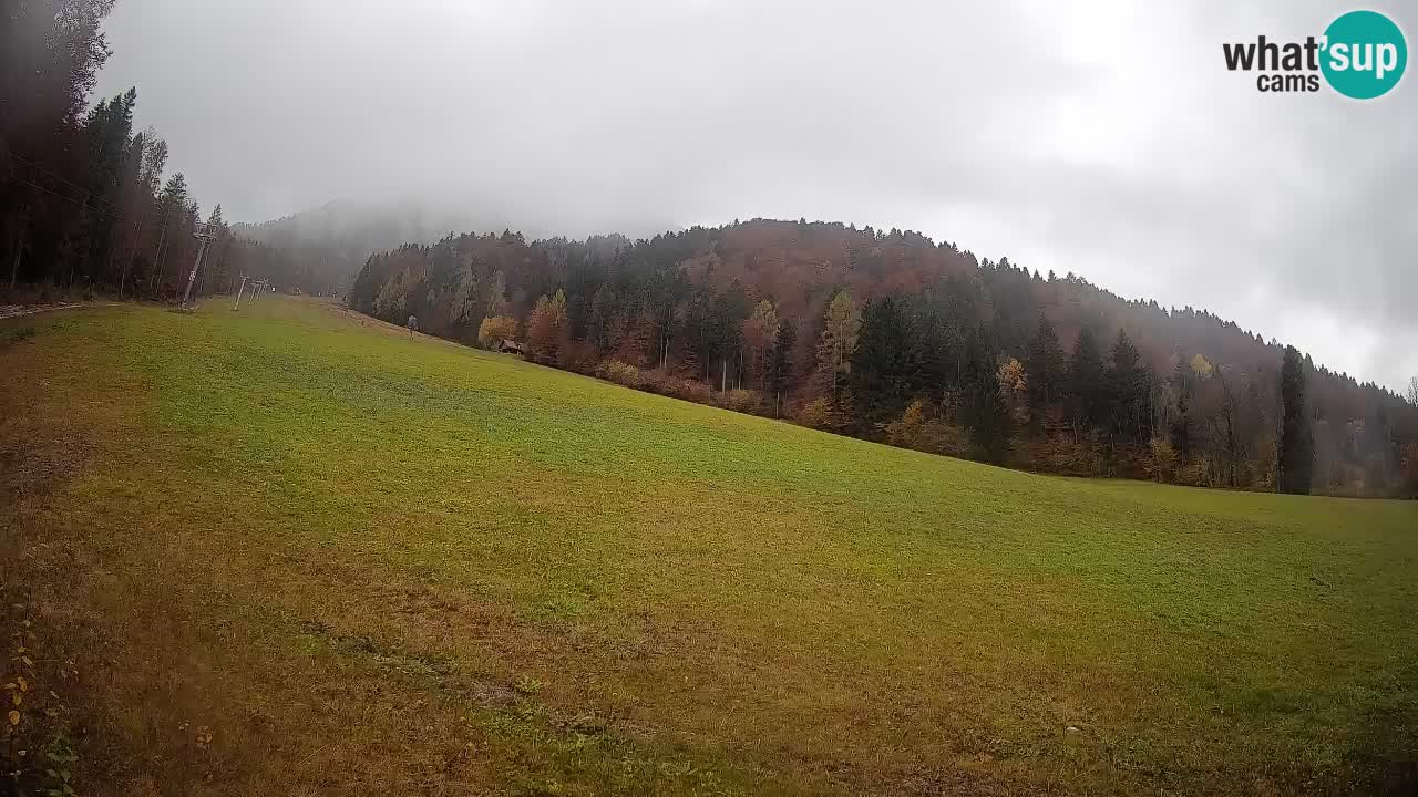 Esquí Kranjska Gora | Brsnina