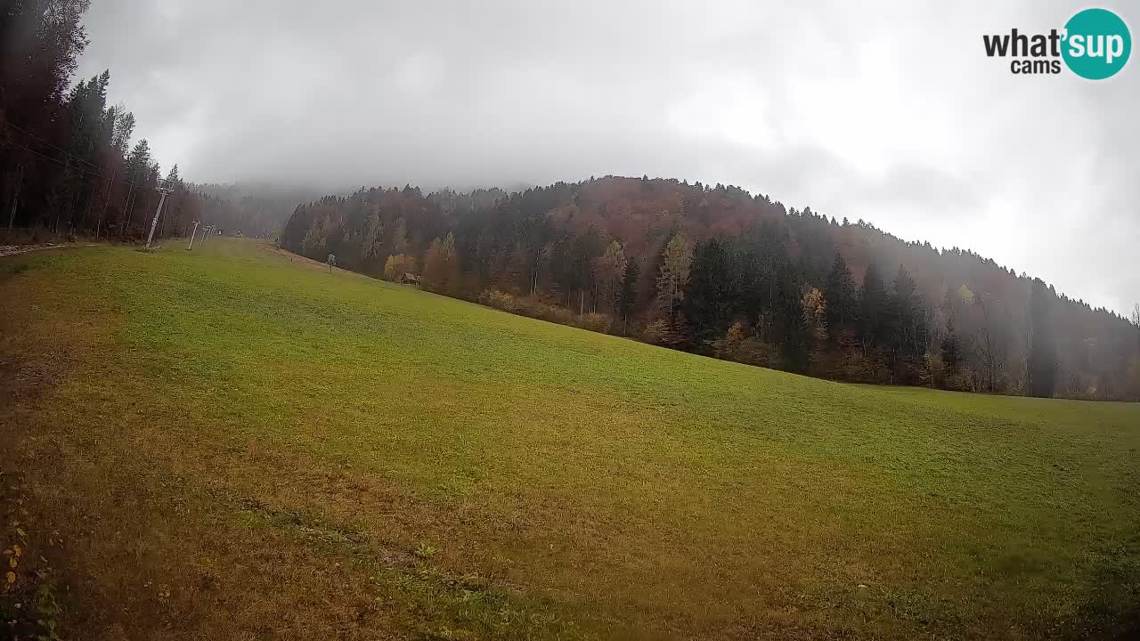 Esquí Kranjska Gora | Brsnina