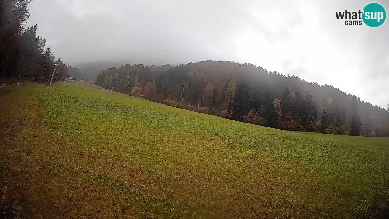 RTC Skigebiet Kranjska Gora | Brsnina
