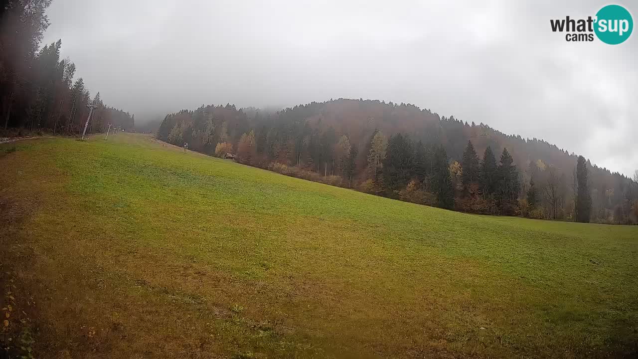 RTC Skigebiet Kranjska Gora | Brsnina