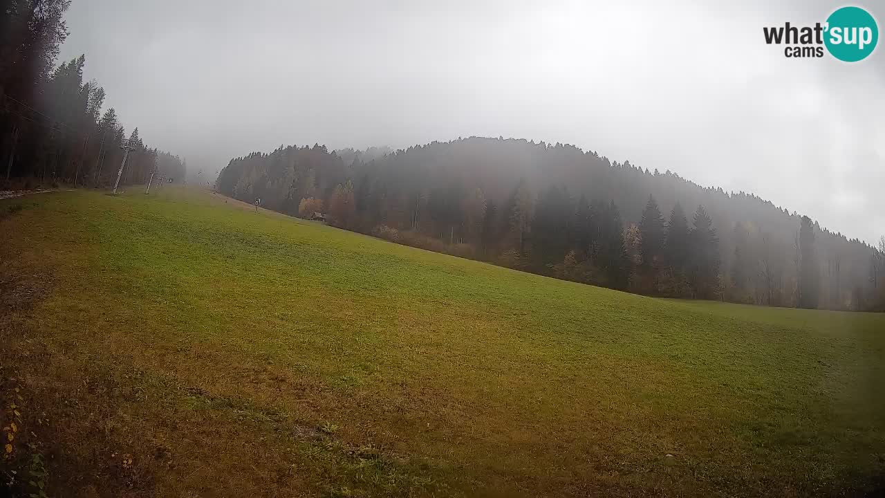 Ski Kranjska Gora | Brsnina