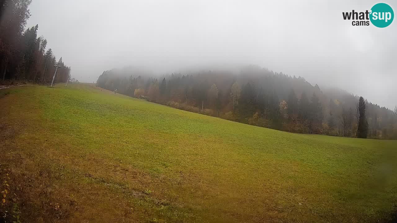 Comprensorio sciistico Kranjska Gora | Brsnina