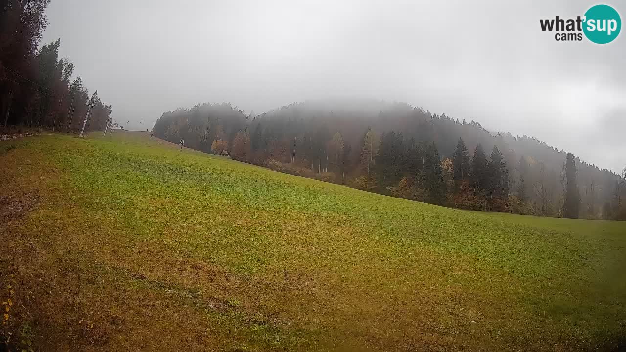 RTC Kranjska Gora | Brsnina