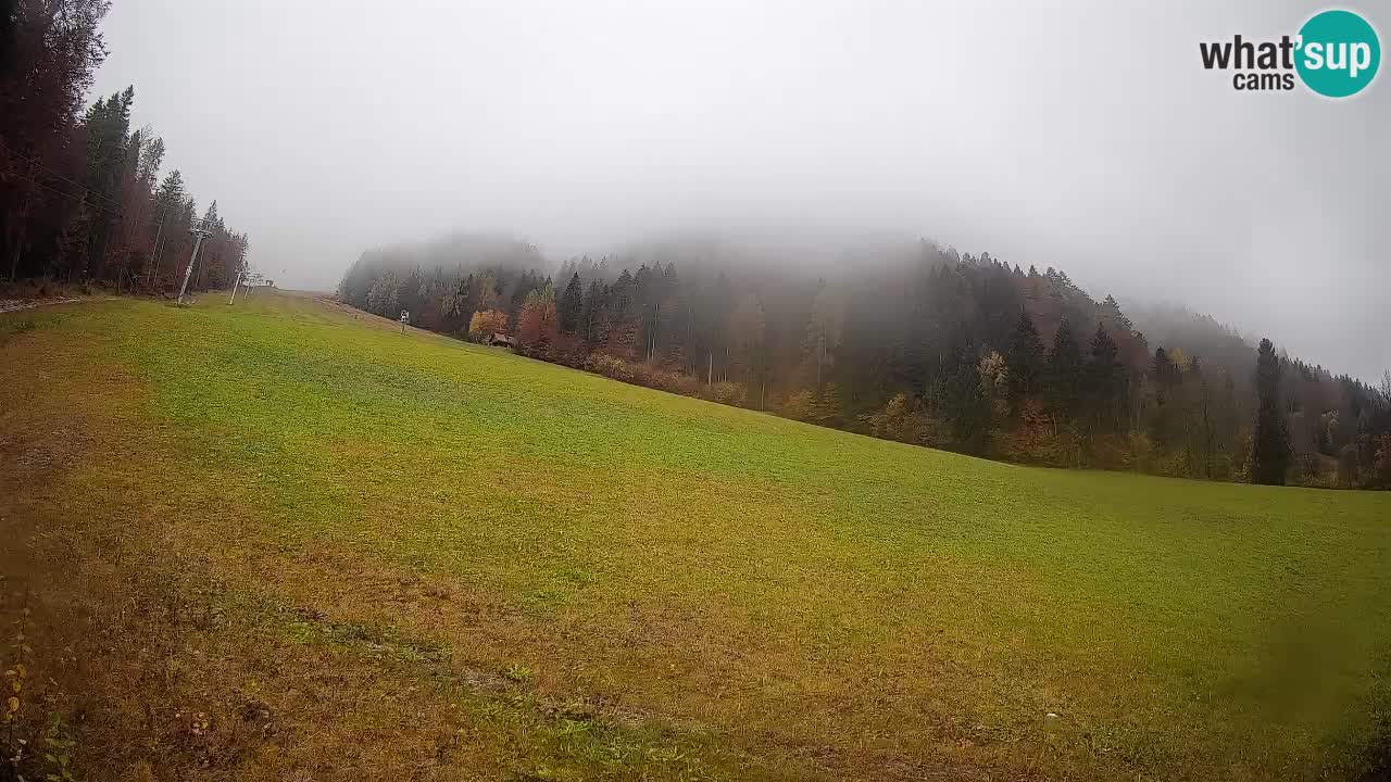 Esquí Kranjska Gora | Brsnina