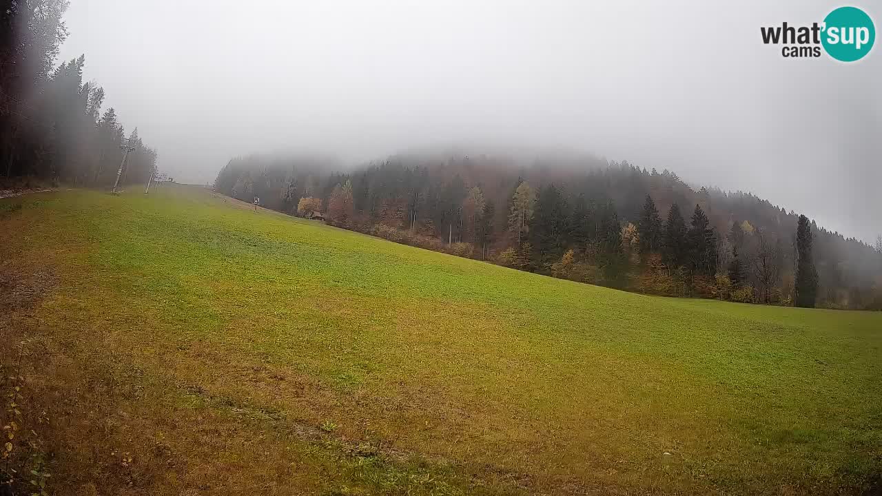 Esquí Kranjska Gora | Brsnina