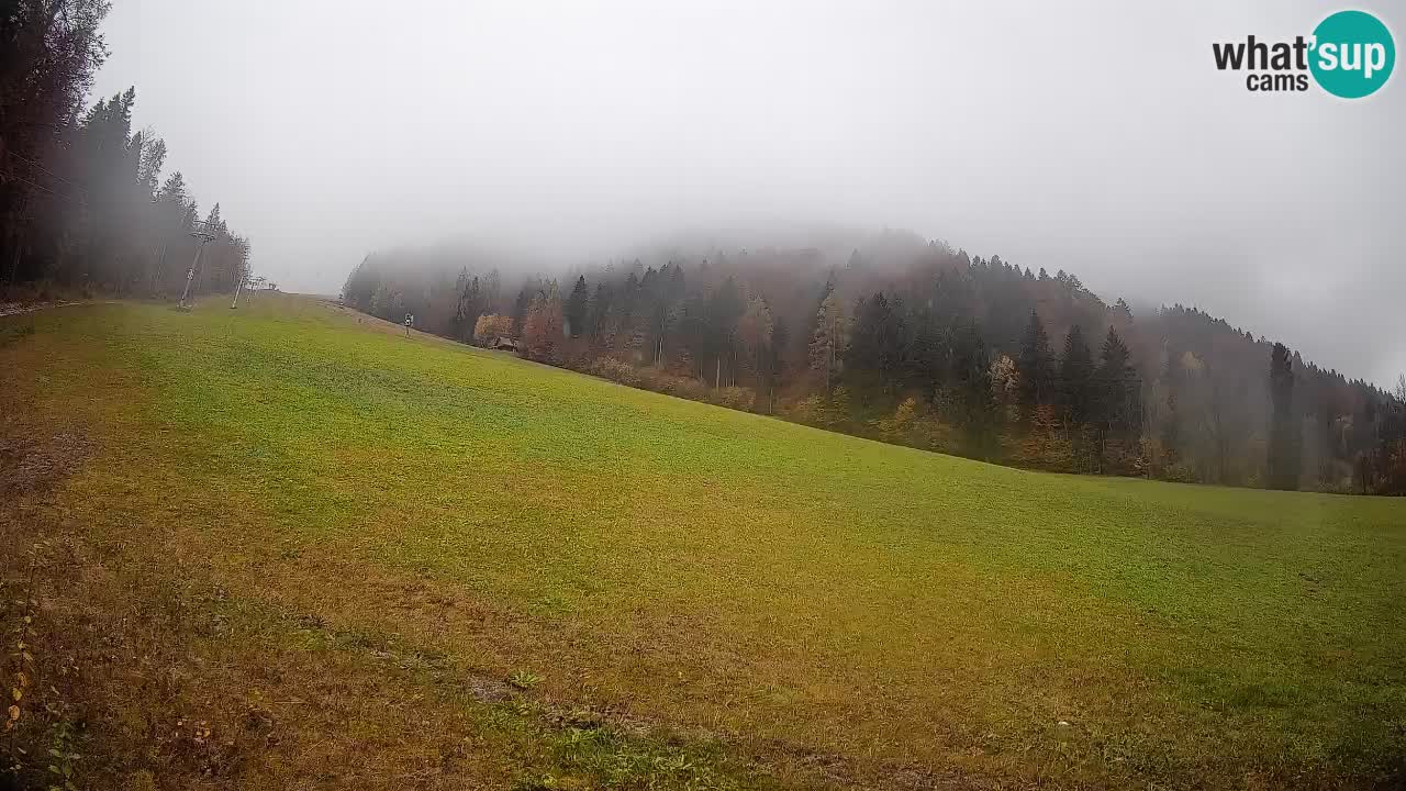 RTC Skigebiet Kranjska Gora | Brsnina