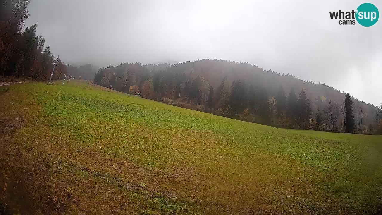 Ski Kranjska Gora | Brsnina