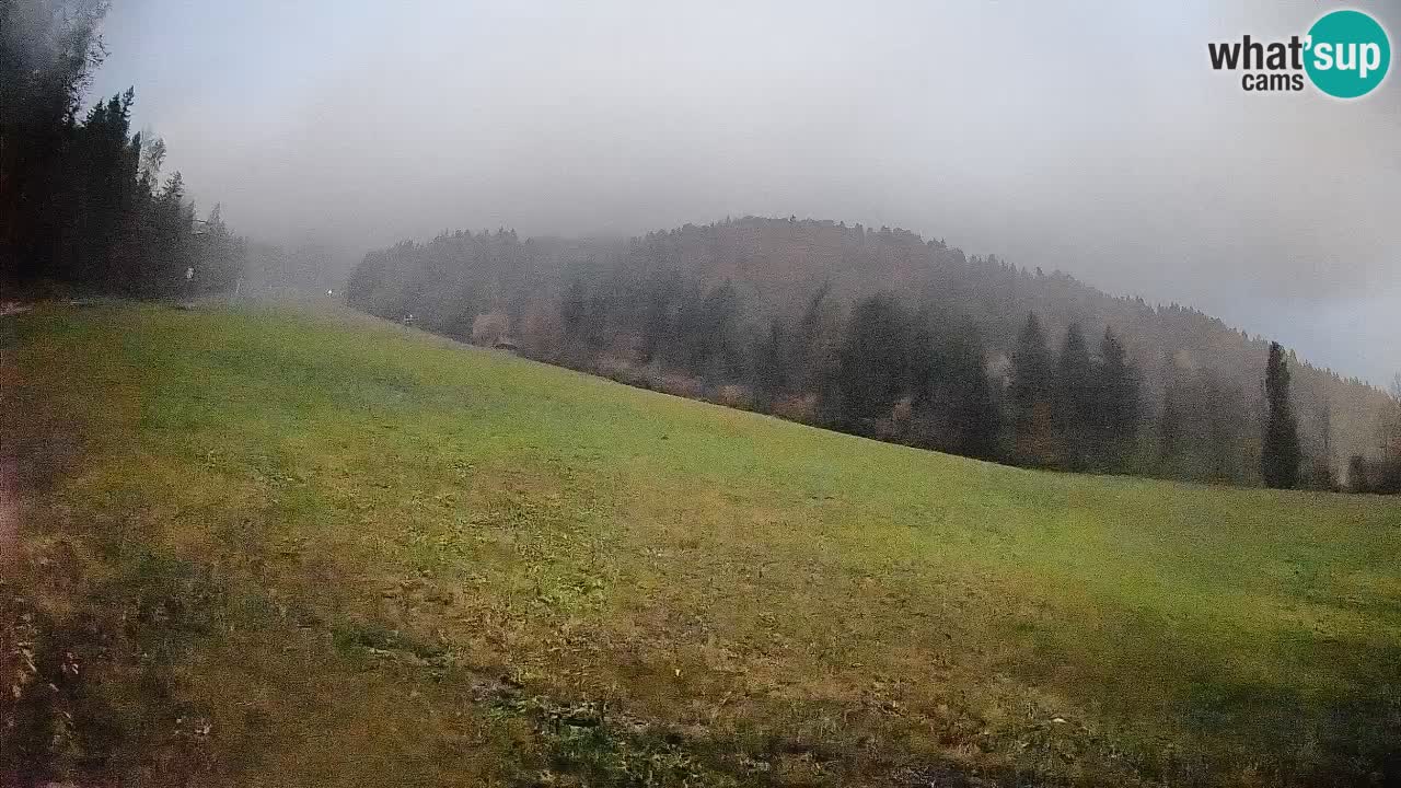Comprensorio sciistico Kranjska Gora | Brsnina