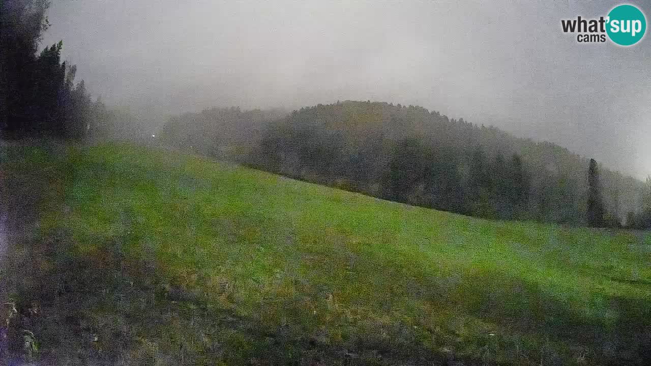 Comprensorio sciistico Kranjska Gora | Brsnina