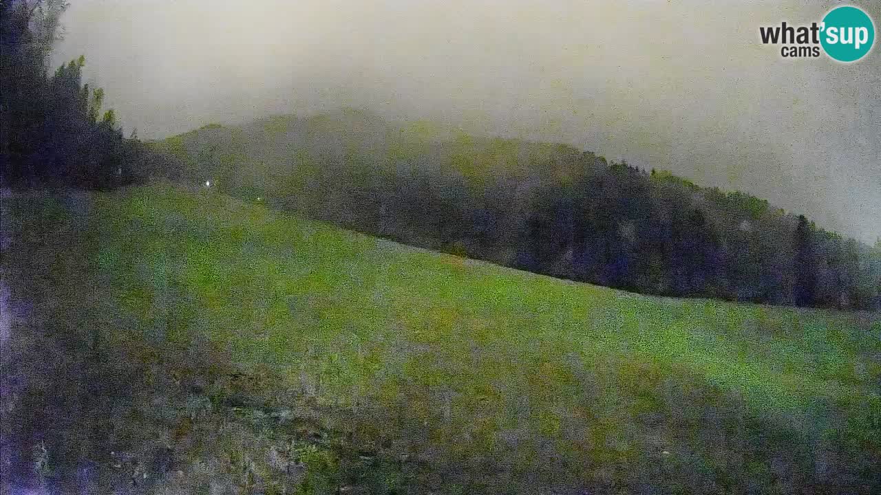 RTC Skigebiet Kranjska Gora | Brsnina