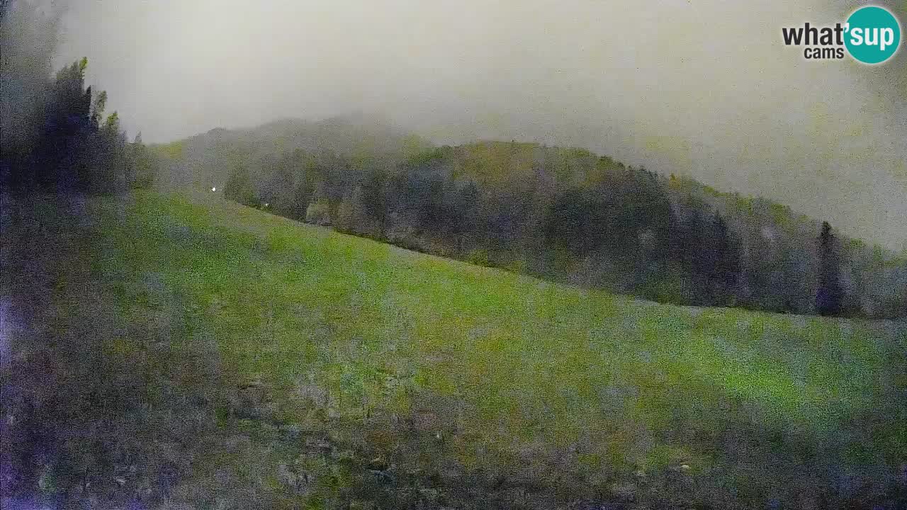 Ski Kranjska Gora | Brsnina