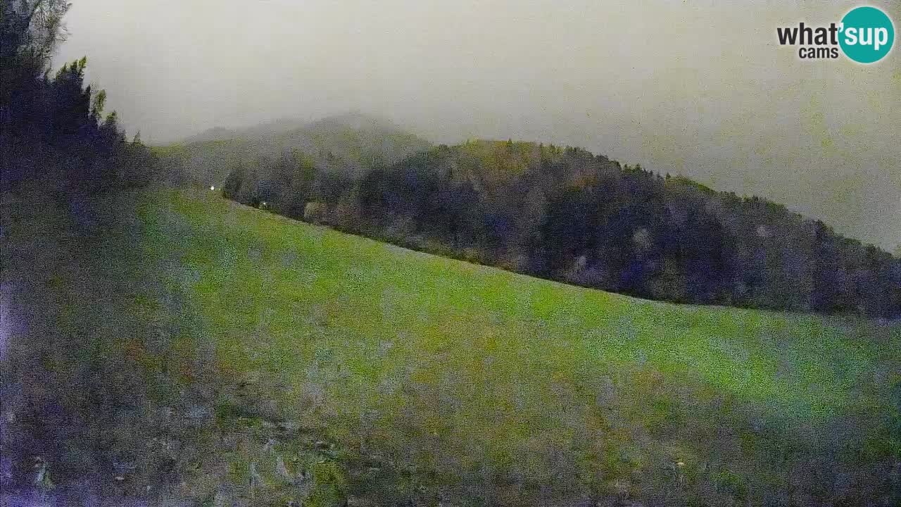 Ski Kranjska Gora | Brsnina