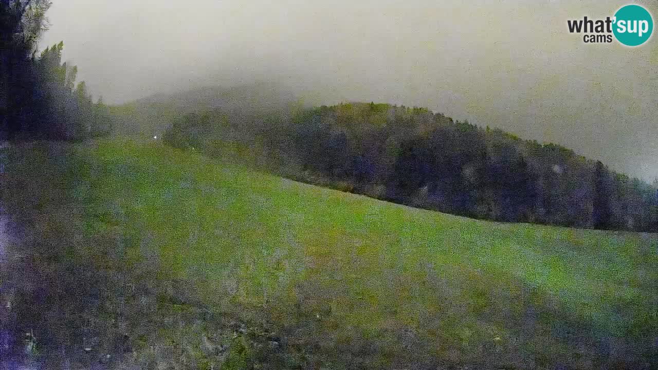 Ski Kranjska Gora | Brsnina
