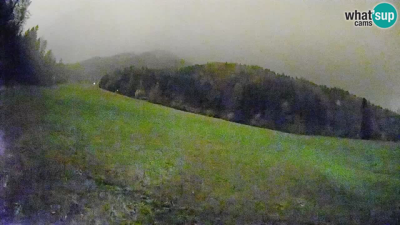 Esquí Kranjska Gora | Brsnina
