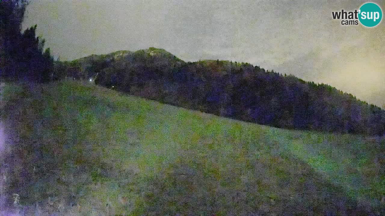 Ski Kranjska Gora | Brsnina