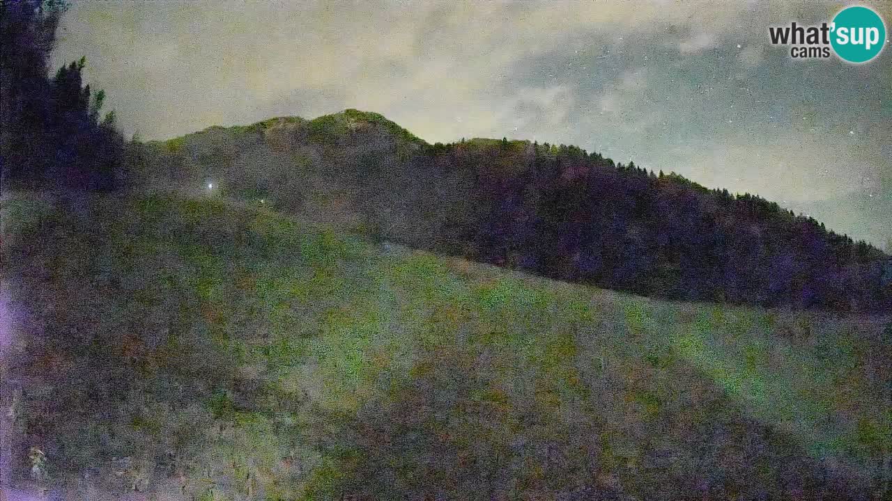 Kranjska Gora SKIJANJE | Brsnina