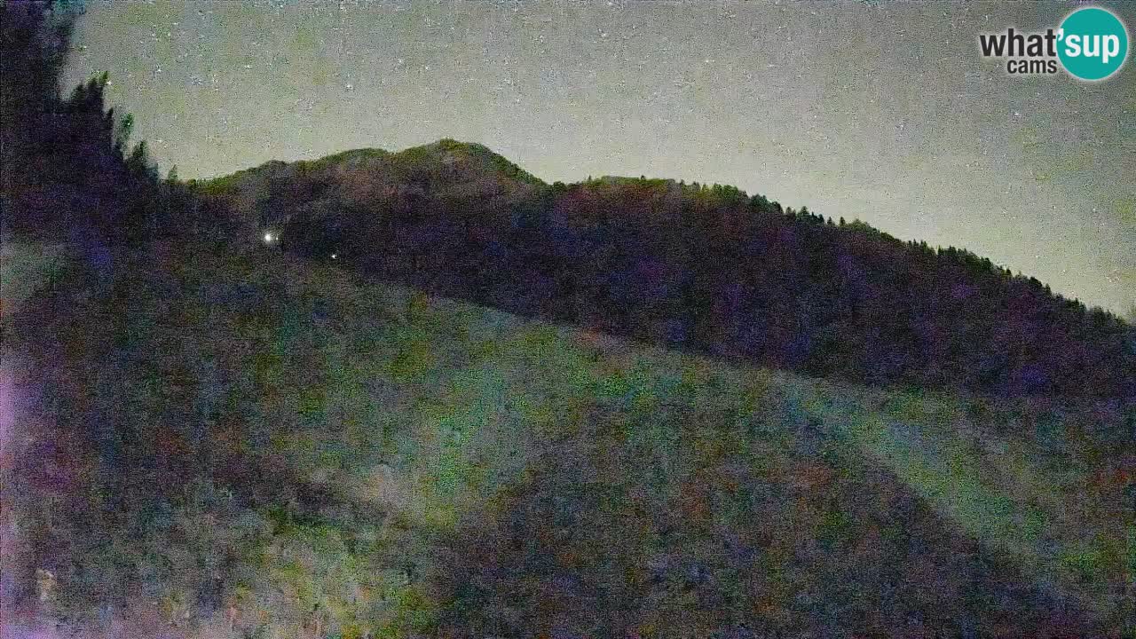 Ski Kranjska Gora | Brsnina