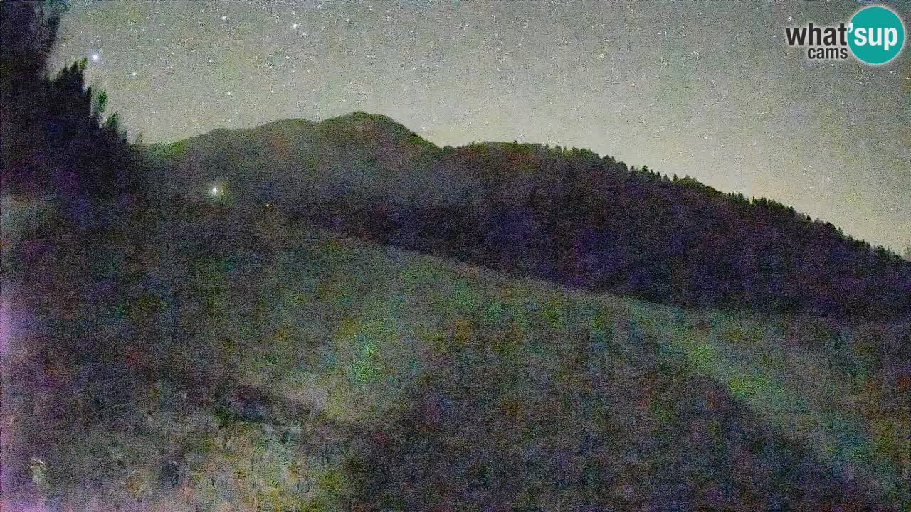RTC Kranjska Gora | Brsnina