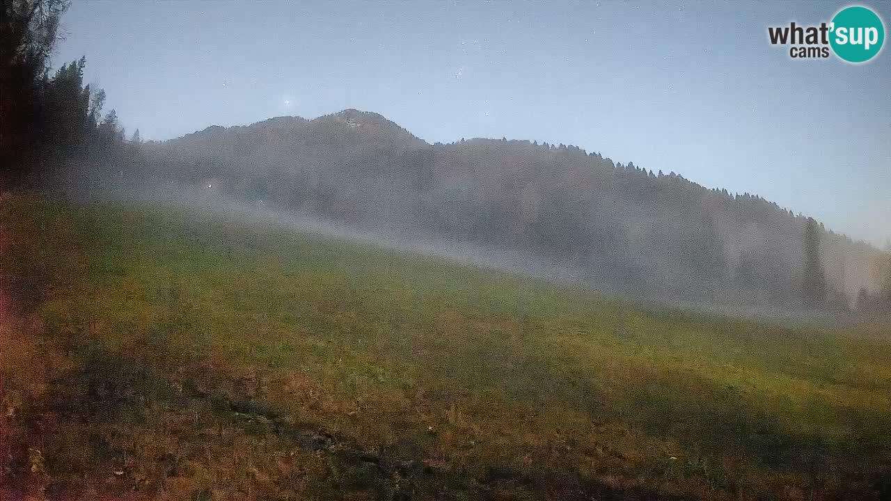 Ski Kranjska Gora | Brsnina