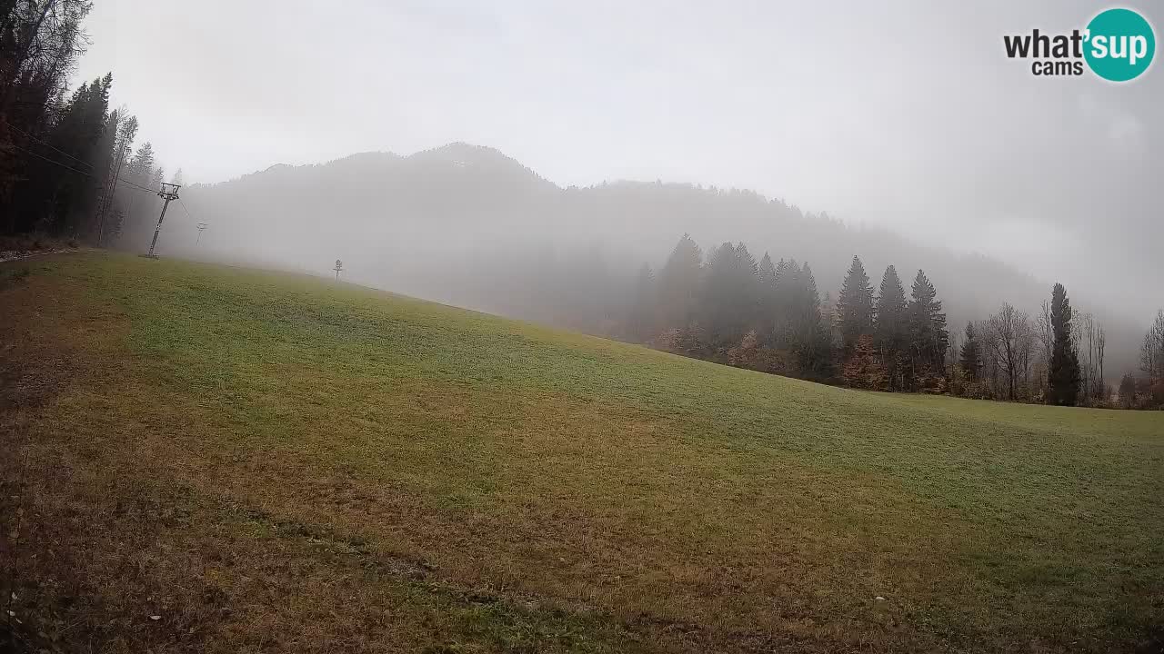Ski Kranjska Gora | Brsnina
