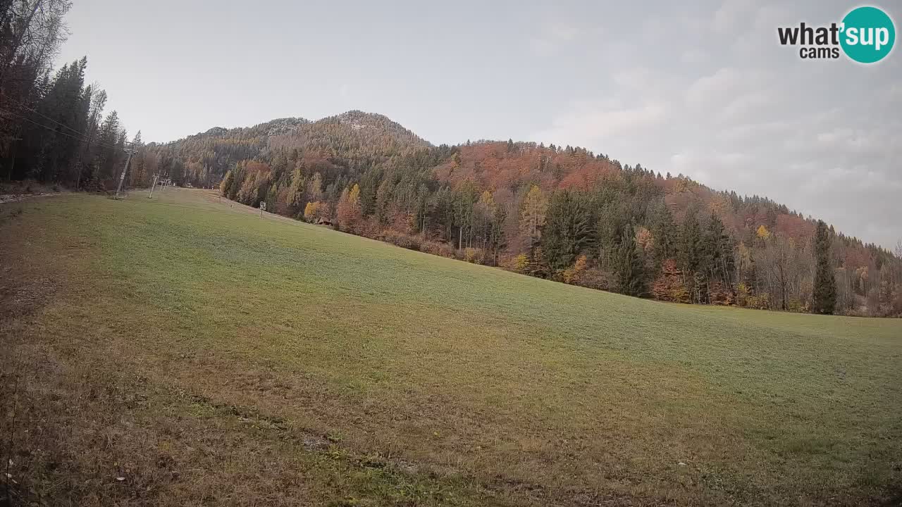 Kranjska Gora Station de ski | Brsnina