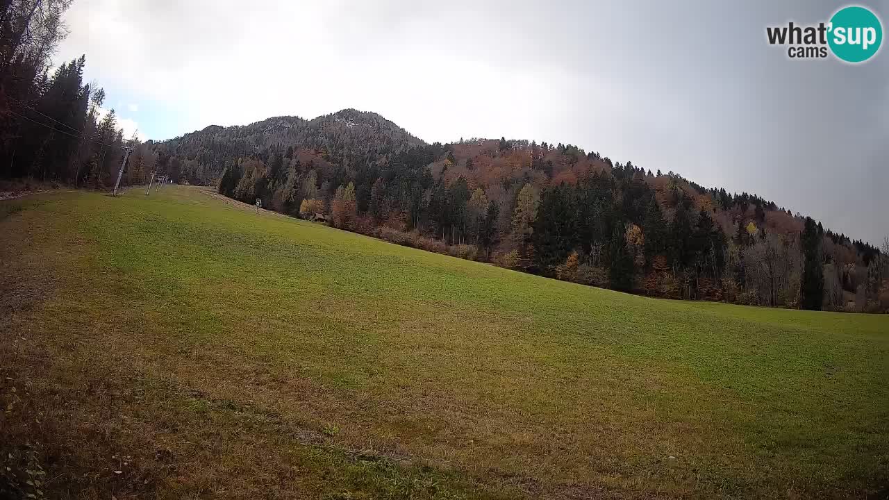 RTC Kranjska Gora | Brsnina