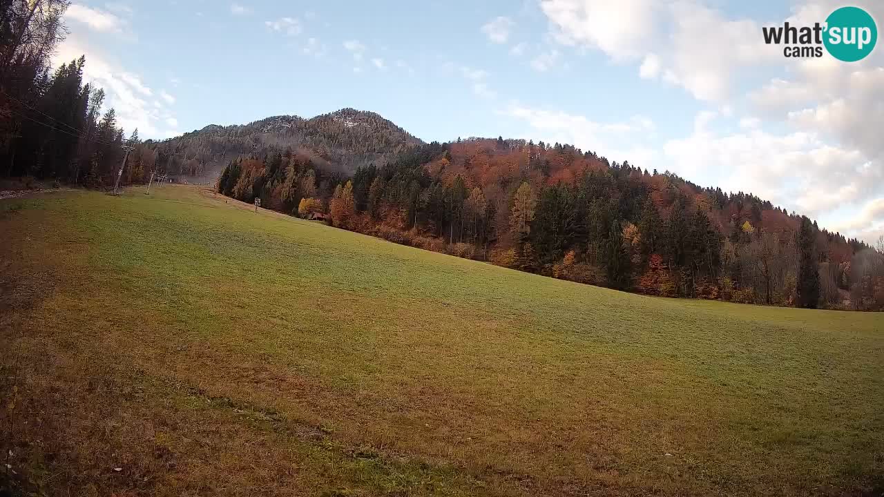 Kranjska Gora Station de ski | Brsnina