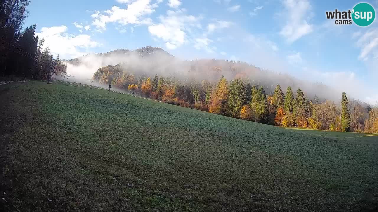 Ski Kranjska Gora | Brsnina