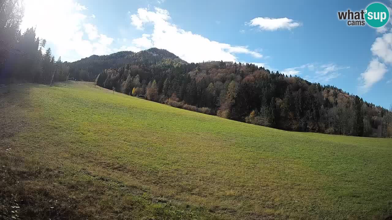 RTC Kranjska Gora | Brsnina