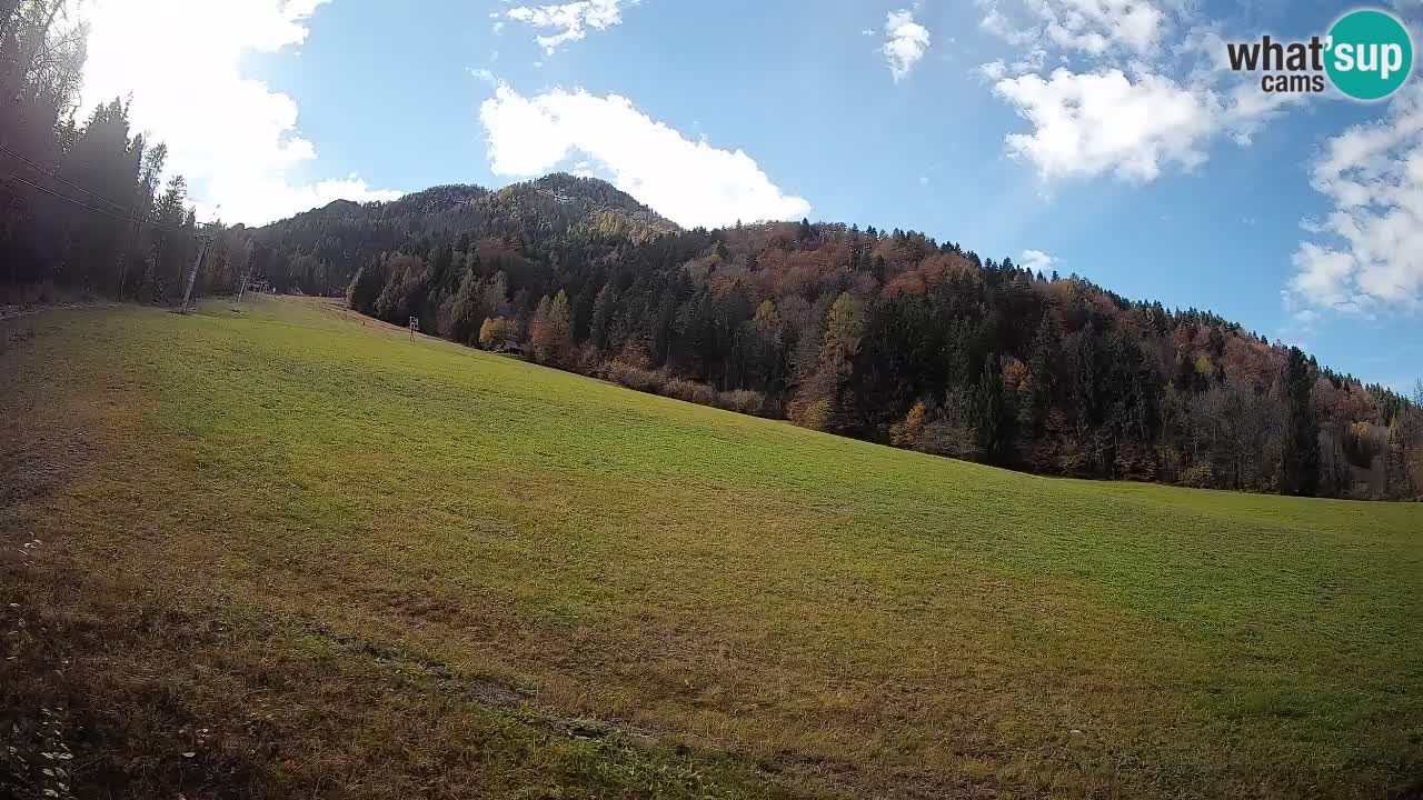 RTC Kranjska Gora | Brsnina