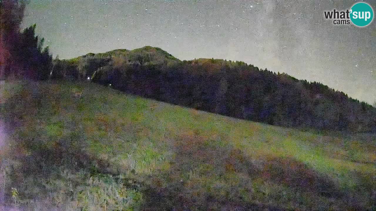 RTC Skigebiet Kranjska Gora | Brsnina
