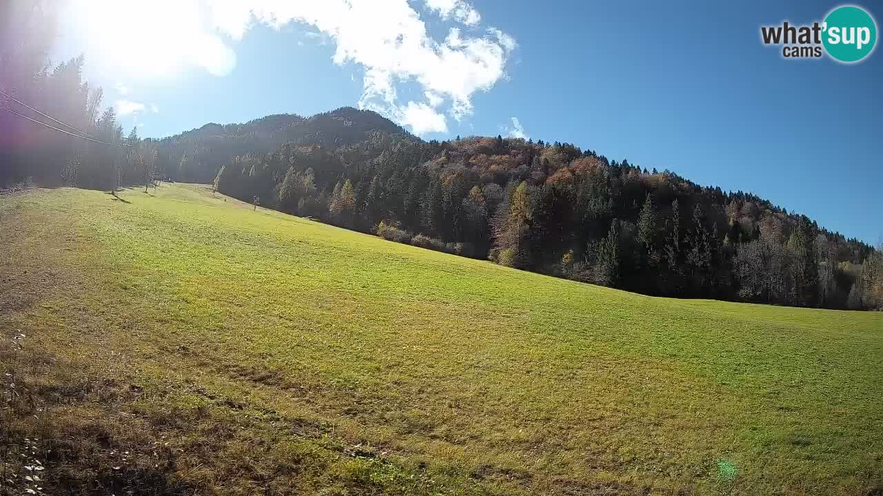RTC Kranjska Gora | Brsnina